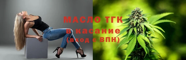 индика Вязники