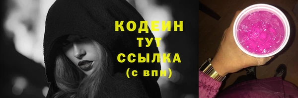 стаф Новокубанск