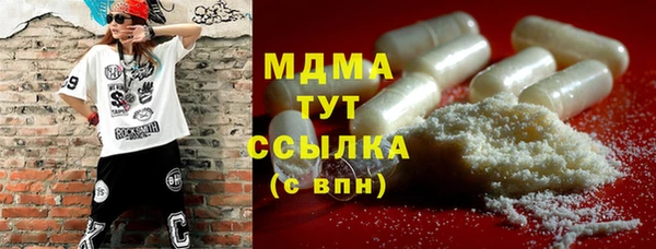 хмурый Болотное