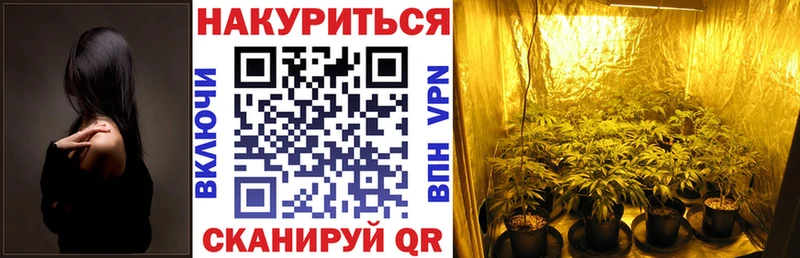 продажа наркотиков  Осташков  ОМГ ОМГ   Канабис марихуана 